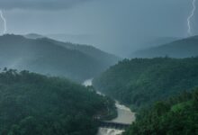 Kerala Heavy Rain Red Alert